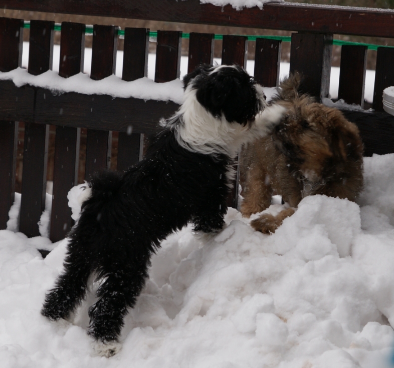 13-02-2010_10 13-02-2010_10