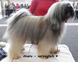 Akaru Akaru