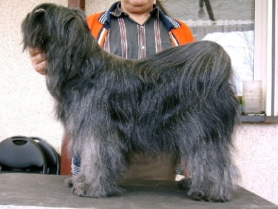 Aysha Ha-Ma-Ni Hawi-Ma-Lou Aysha Ha-Ma-Ni Hawi-Ma-Lou