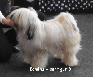 Bandhu Bandhu