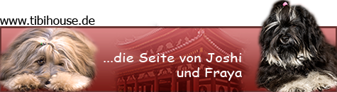 Banner_Joshi-Fraya