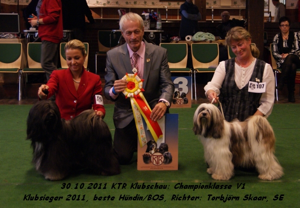 DSC02593 DSC02593