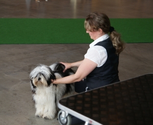 DSC04765 DSC04765