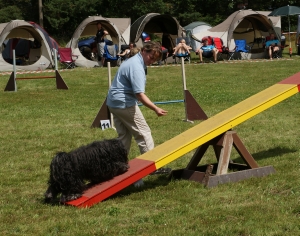 DSC05780_klein