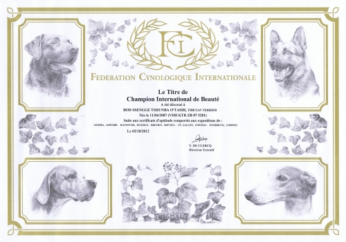FCI-Internationaler-Champion-Urkunde_O'tashi_klein FCI-Internationaler-Champion-Urkunde_O'tashi_klein