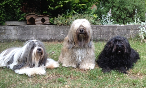Trio im Sommer 2014 Trio im Sommer 2014