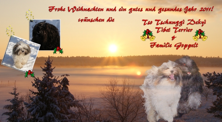Weihnachtskarte2010 Weihnachtskarte2010