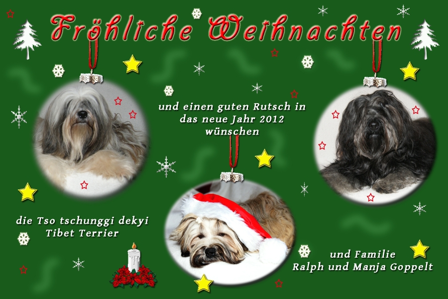 Weihnachtskarte2011-1