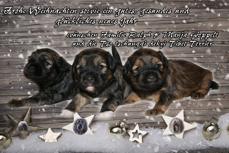 Weihnachtskarte2013-2-1 Weihnachtskarte2013-2-1