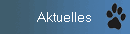 Aktuelles