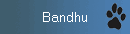 Bandhu