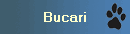 Bucari