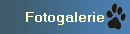 Fotogalerie