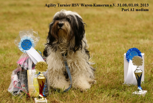 Hundetunier 2013 142_klein Hundetunier 2013 142_klein