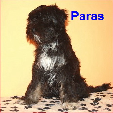 TT_paras_kunze TT_paras_kunze