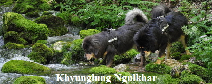 banner_khyunglung Ngulkhar