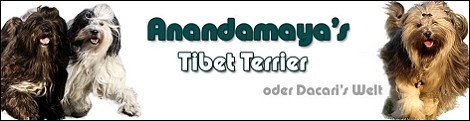 banner_anandamayas_tt