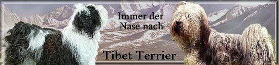 banner_immer_der_nase_nach_tt