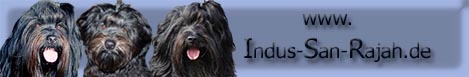 banner_www_indus_san_rajah.de