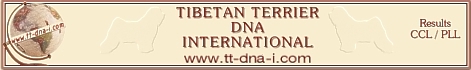 dna_banner_neu