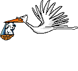 klapperstorch-3